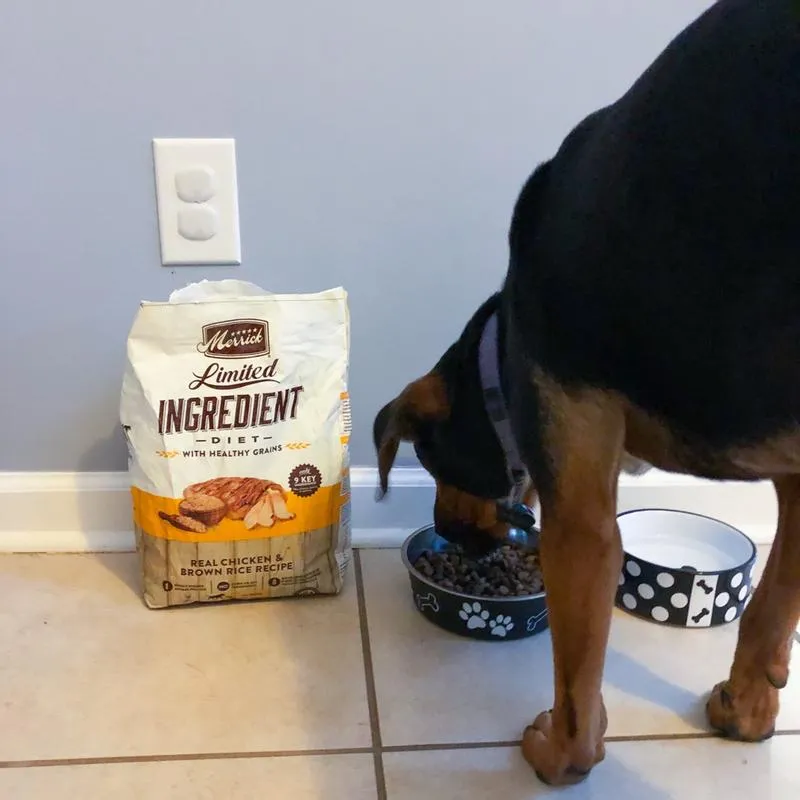 Merrick Dog Food