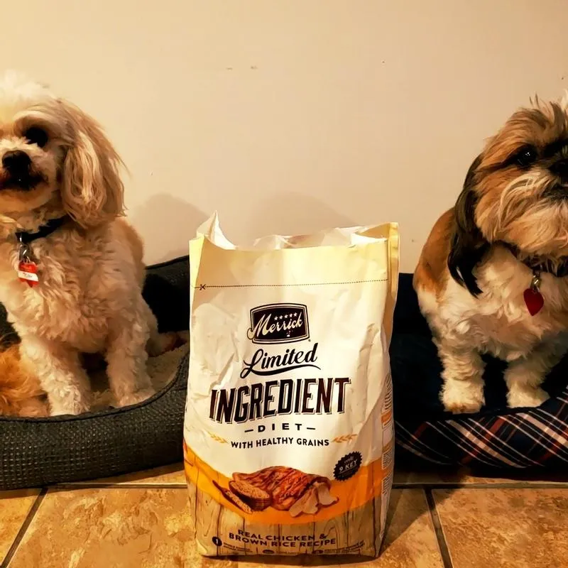 Merrick Dog Food