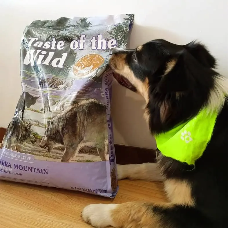 Taste of the Wild Dog Food
