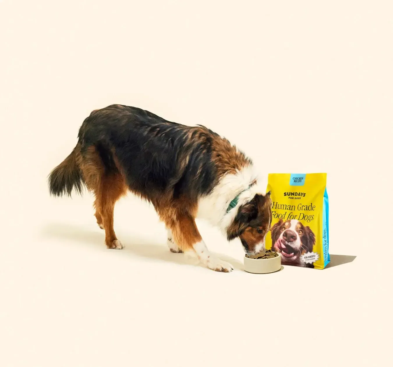Sundays Dog Food