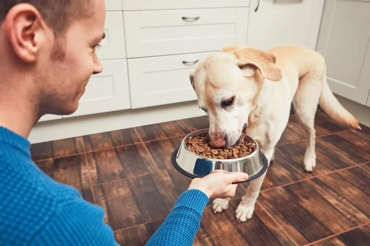Orijen Dog Food