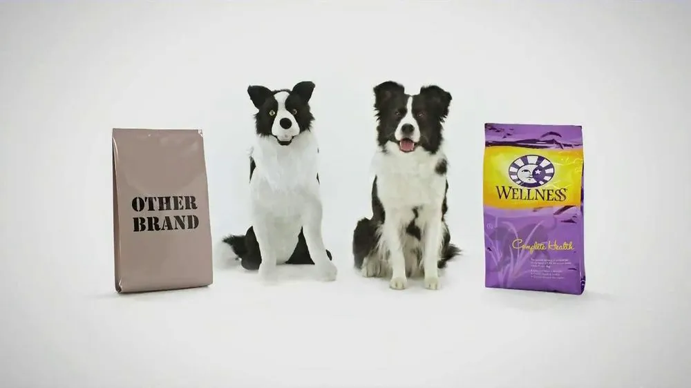 Wellness Dog Food 