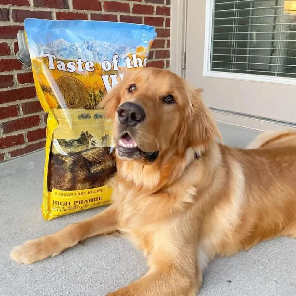 Taste of the Wild Dog Food