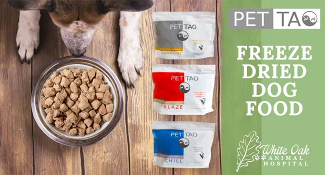 Freeze Dried Dog Food