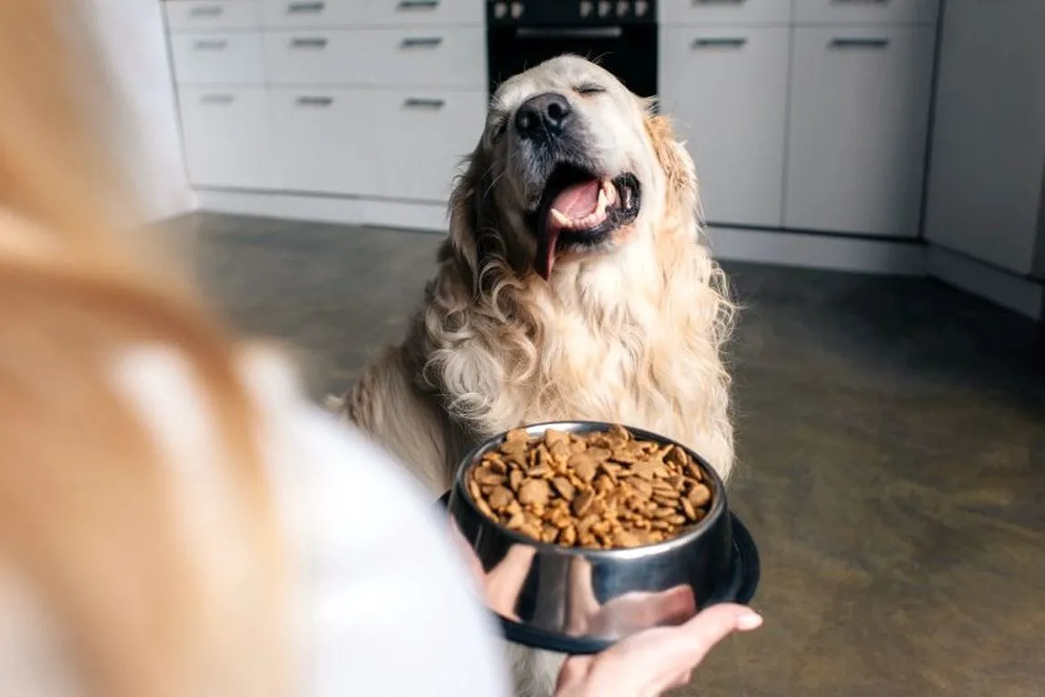 Pure Balance Dog Food