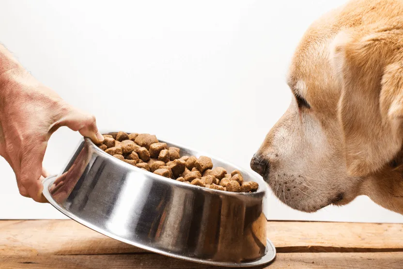 Kirkland Dog Food