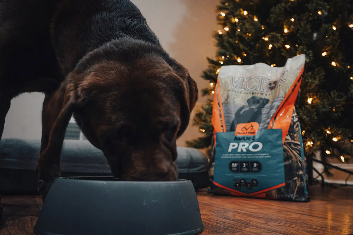 Victor Dog Food
