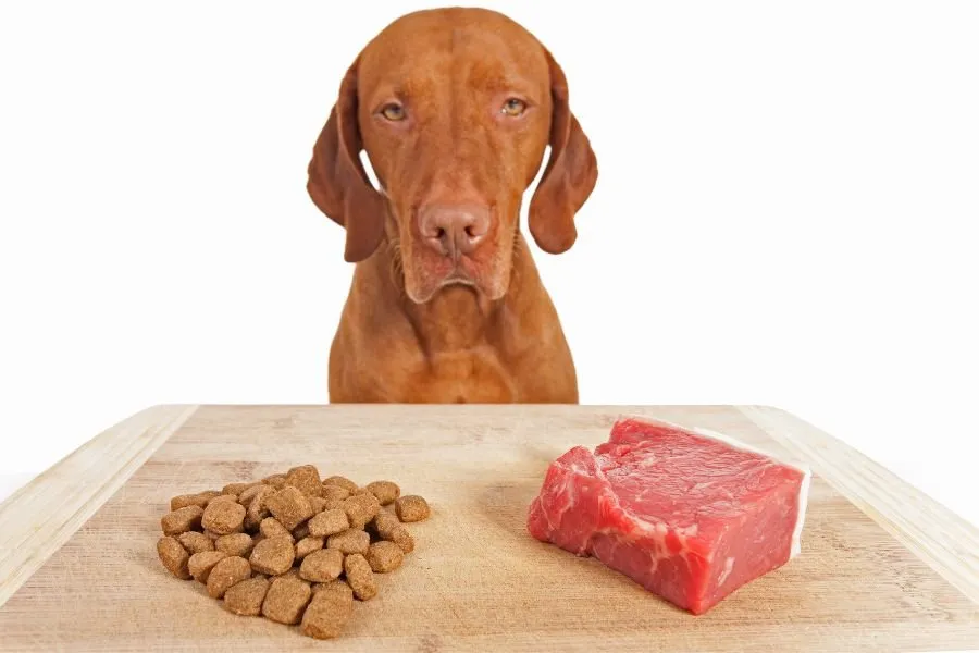 Freeze Dried Dog Food