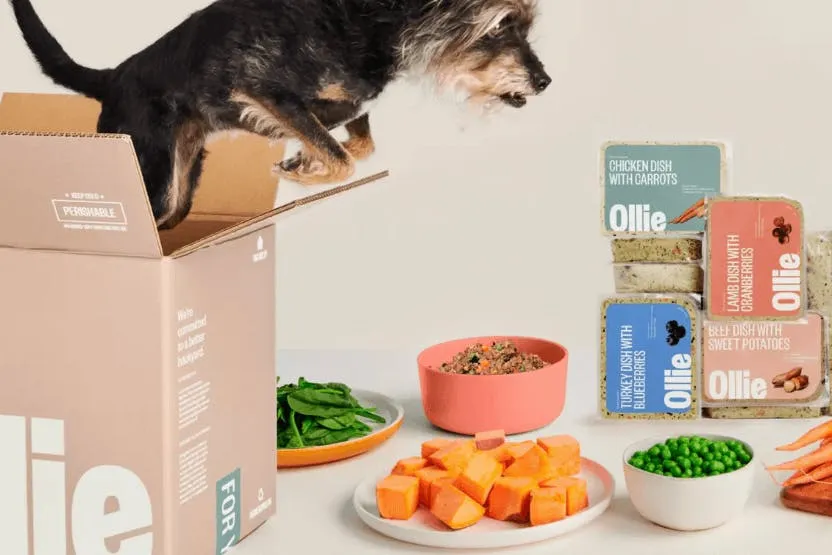 Ollie Dog Food