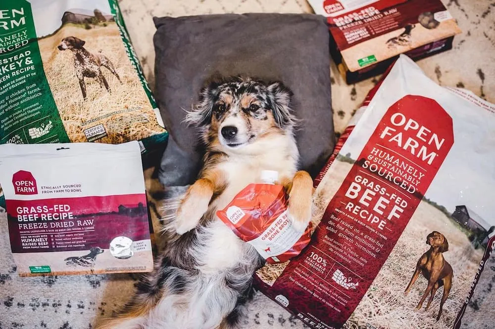 Open Farm Dog Food
