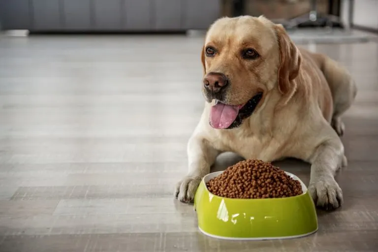 Pure Balance Dog Food