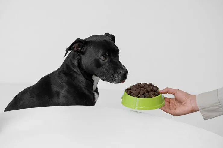 Diamond Naturals Dog Food