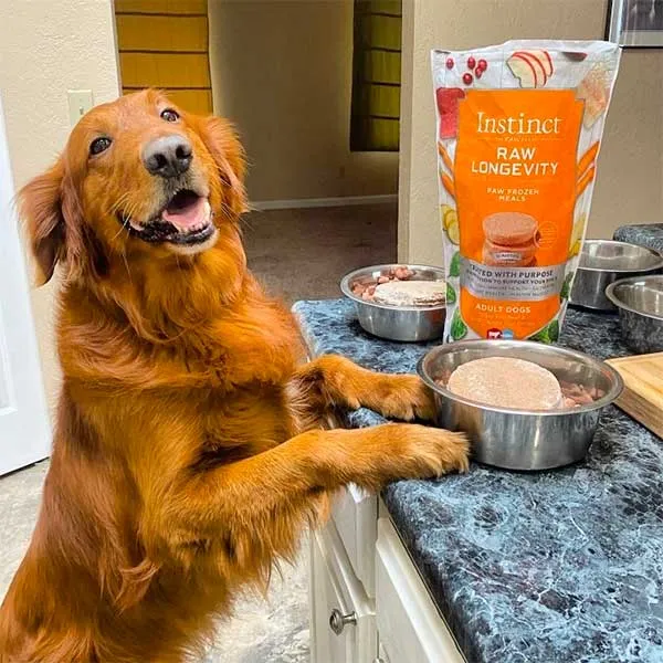 Instinct Dog Food