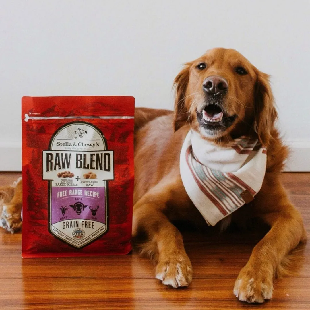 Chewy Dog Food