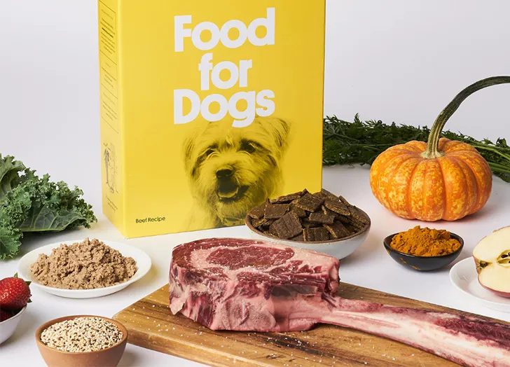 Sundays Dog Food