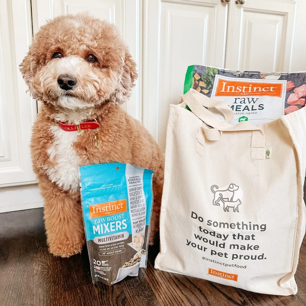 Instinct Dog Food