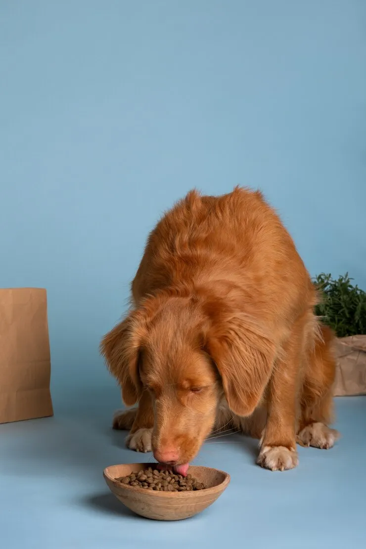 Orijen Dog Food