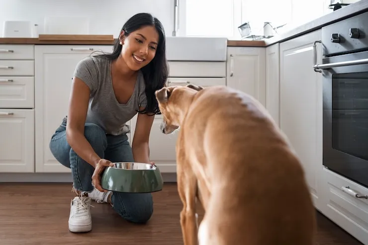 Orijen Dog Food