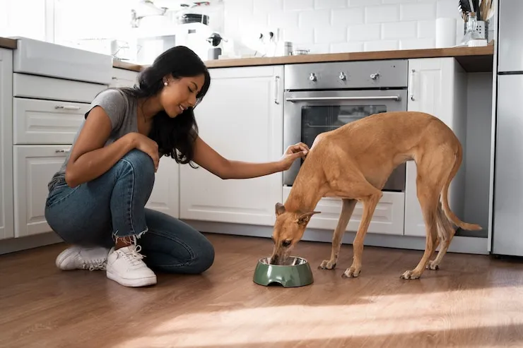 Blue Buffalo Dog Food