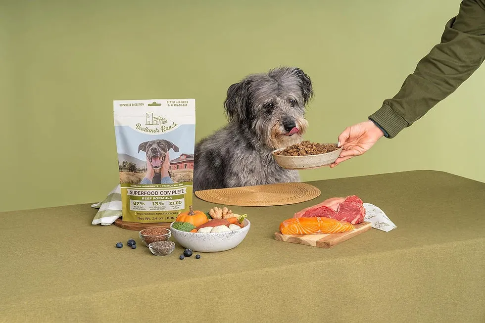 Katherine Heigl Dog Food 