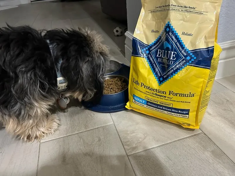 Blue Wilderness Dog Food
