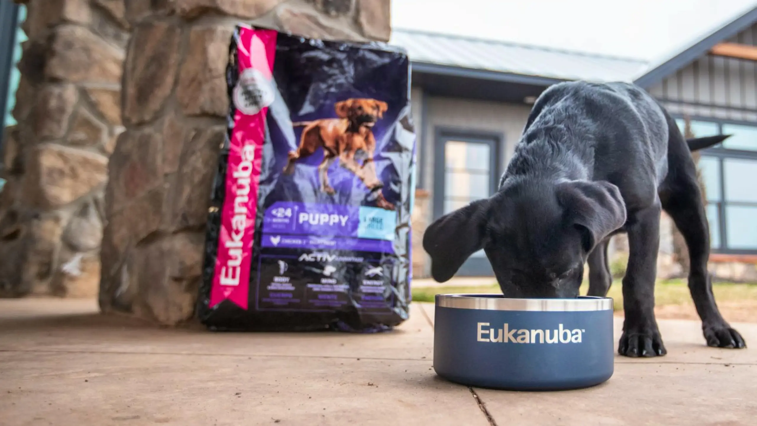 Eukanuba Dog Food
