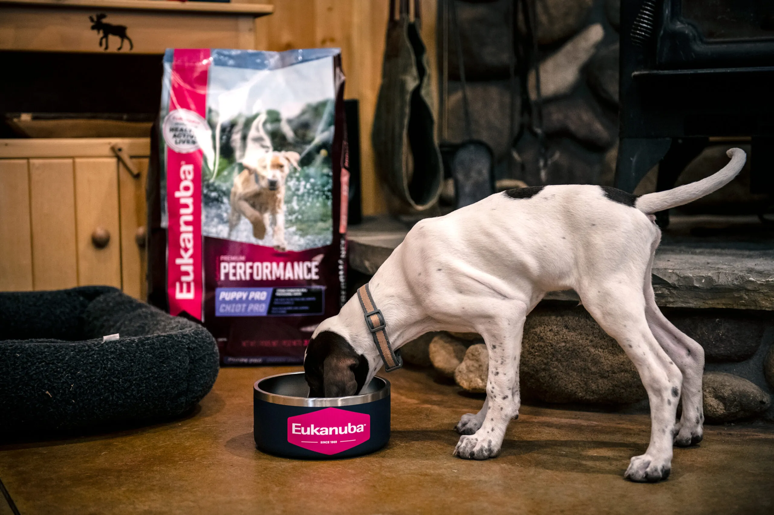 Eukanuba Dog Food