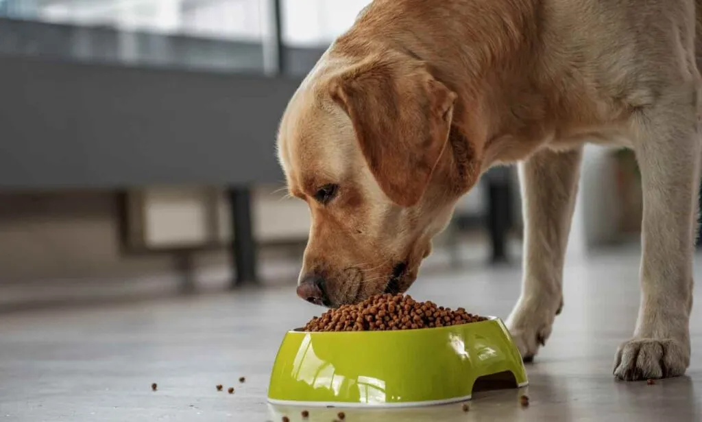 Valu-Pak Dog Food