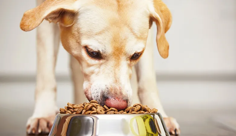 Valu-Pak Dog Food