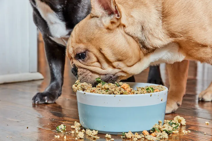 Valu-Pak Dog Food