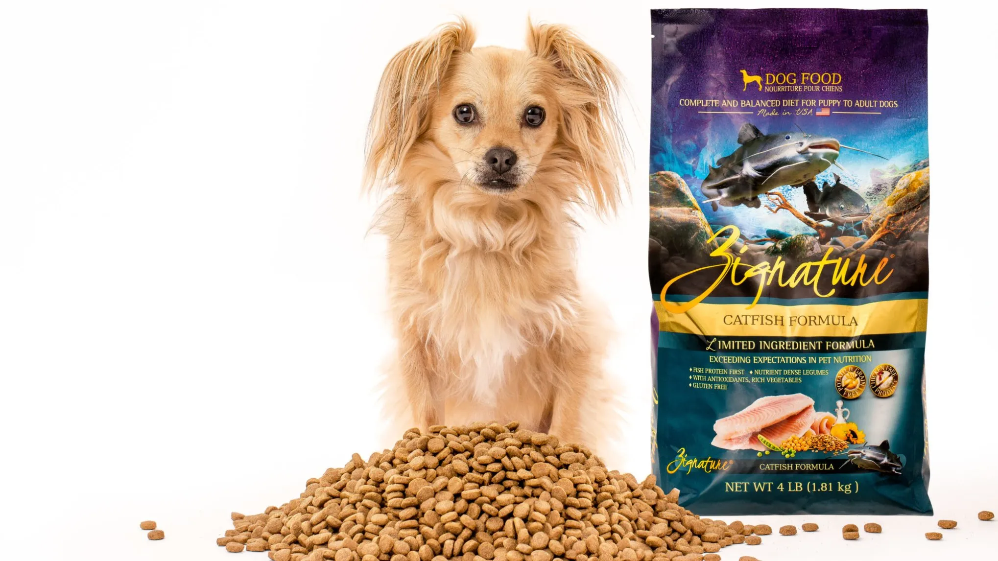 Zignature Dog Food 
