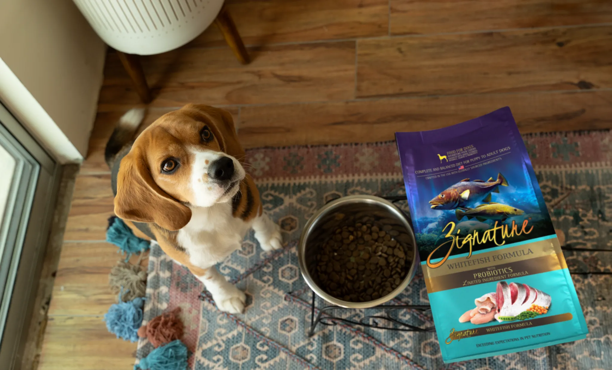 Zignature Dog Food 
