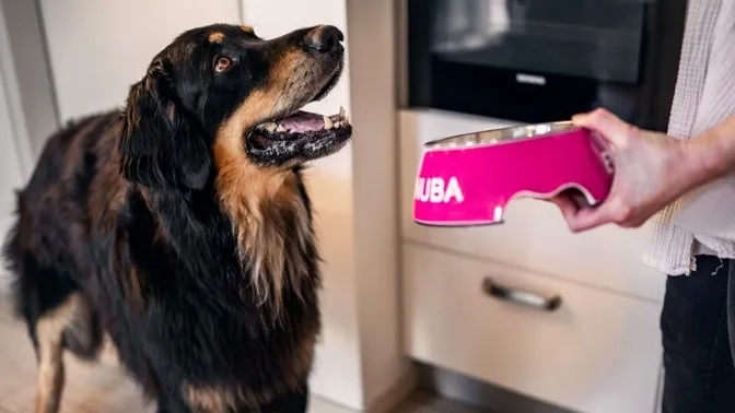 Eukanuba Dog Food