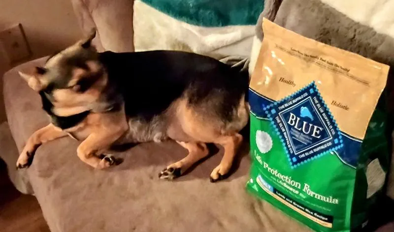 Blue Wilderness Dog Food