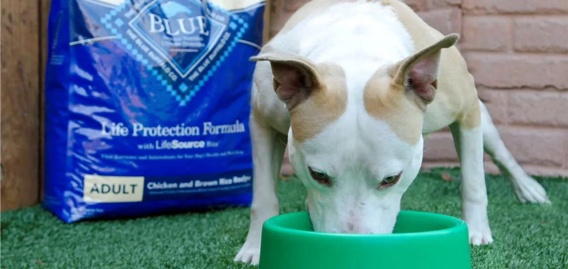 Blue Wilderness Dog Food