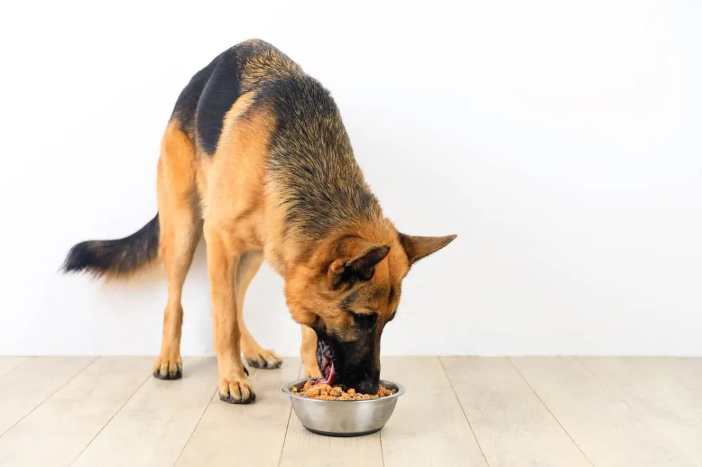 Valu-Pak Dog Food