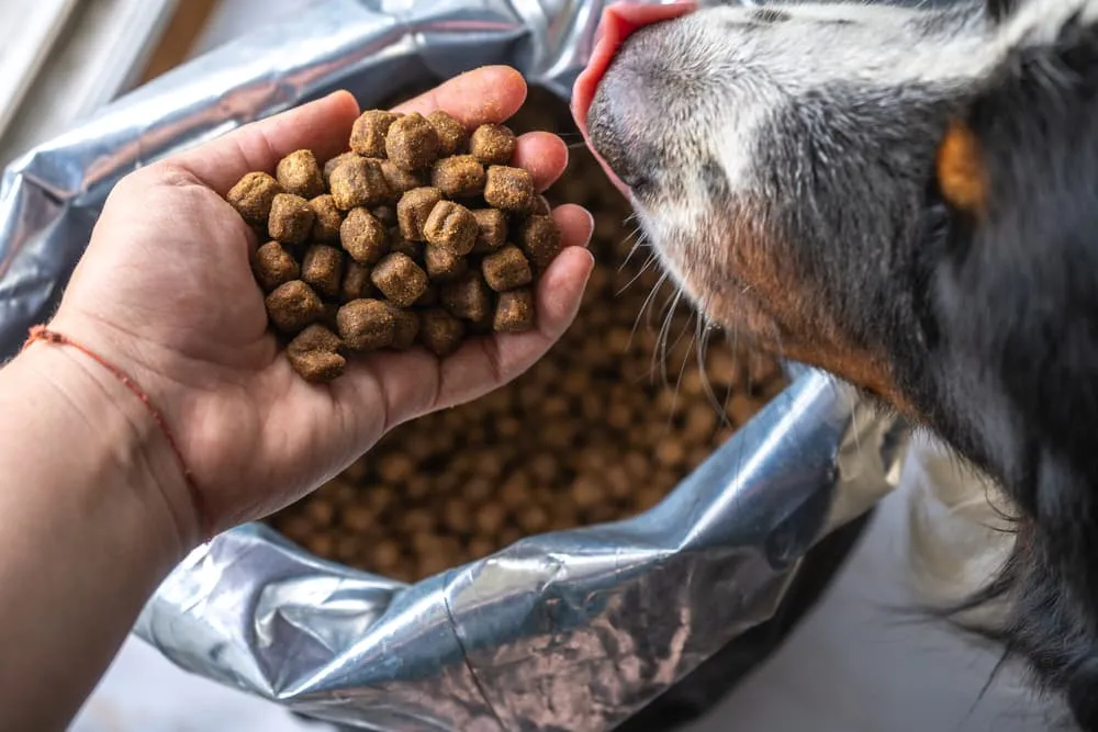Simply Nourish Dog Food