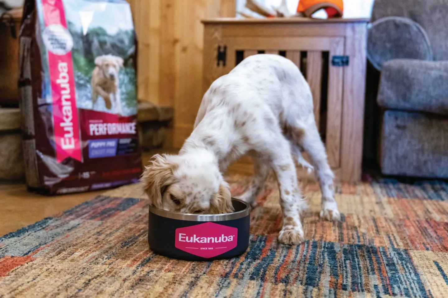 Eukanuba Dog Food
